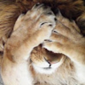 Meet your Posher, Aarushi